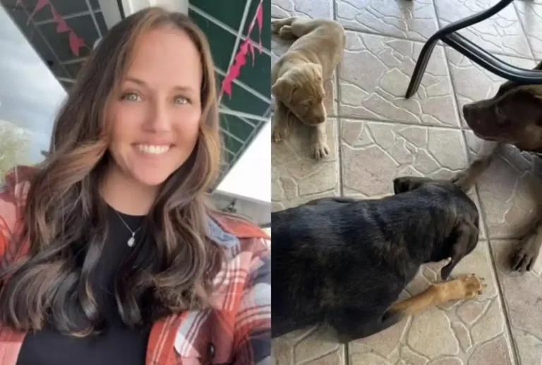 Mulher é presa por zoofilia após marido flagrá-la com cachorro na Flórida