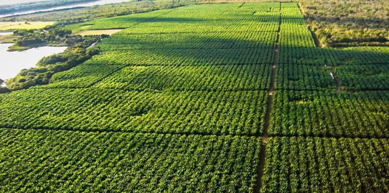 Brasil precisa amplificar diplomacia do agro em novo contexto geopolítico