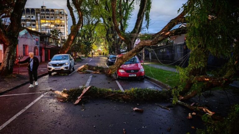 Vendaval derruba árvores e deixa Curitiba sem energia após chuva de granizo