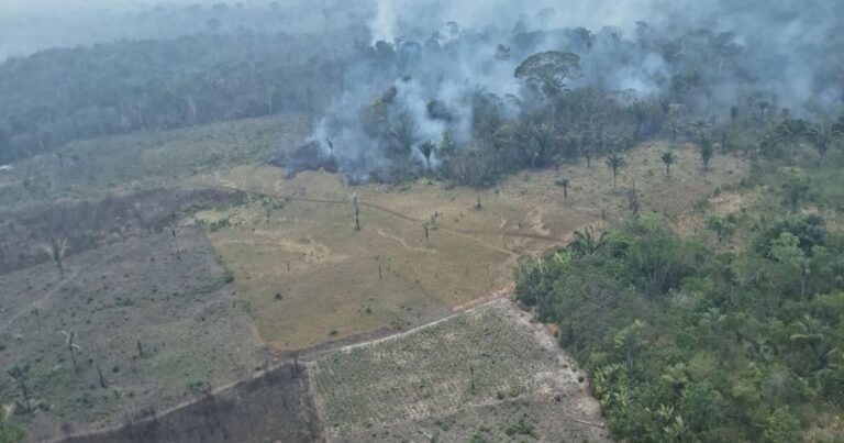 Amazônia Legal registra menor desmatamento em 38 anos enquanto fumaça avança em Manaus