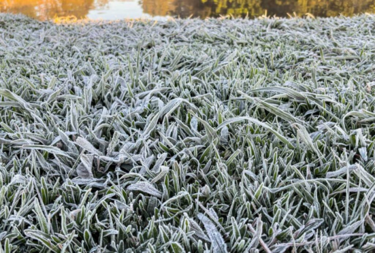 Metsul prevê massa de ar frio e geada no Paraná a partir de segunda-feira