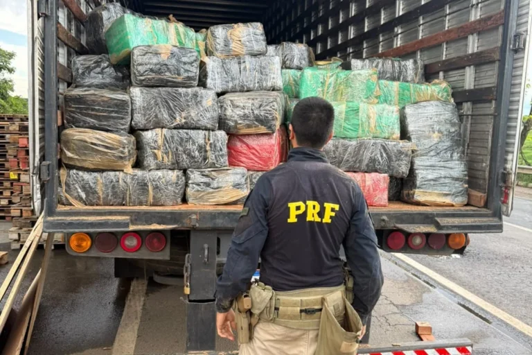PRF apreende 3,5 toneladas de skunk em caminhão na BR-153 em Goiás