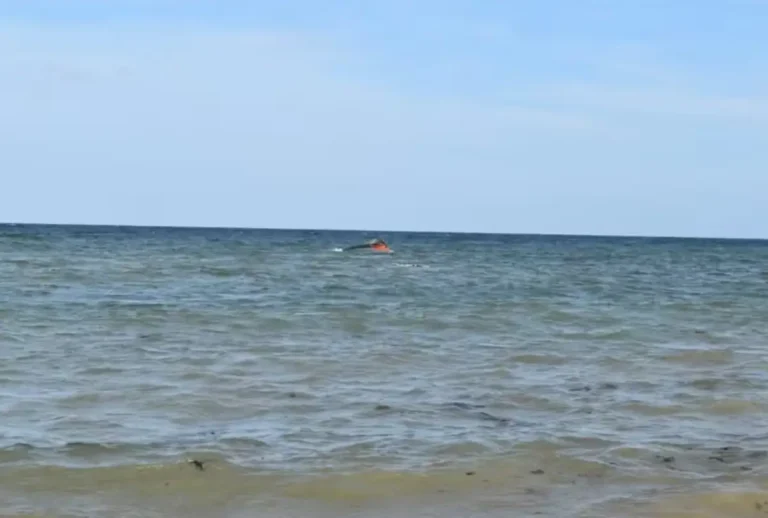Barco com 305 migrantes naufraga em Djibuti e deixa 109 mortos