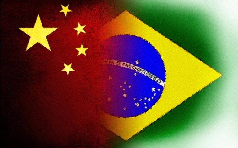 Brasil ativa autoembargo de carne de frango com China após Newcastle em Santa Catarina