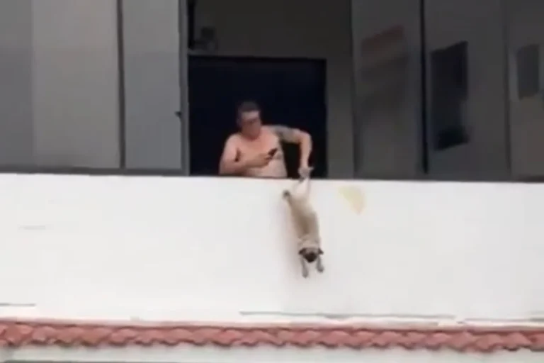 Ex-jogador Héctor Rosales é preso por pendurar cão para fora de janela em El Salvador