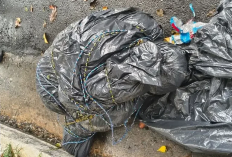 Polícia Civil de São Paulo investiga sete corpos encontrados em sacos de lixo