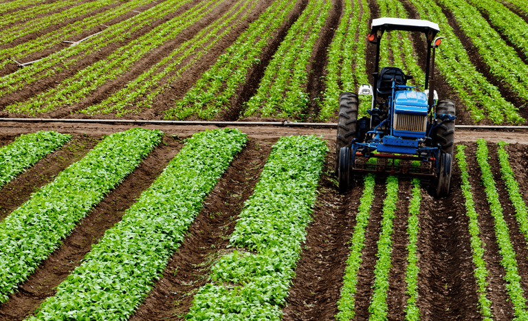Brasil está prestes a superar EUA como maior exportador agrícola do mundo