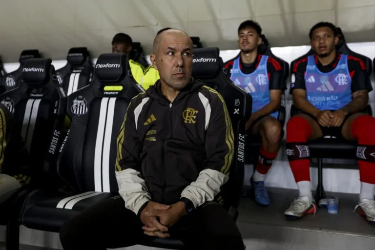 Leonardo Jardim reclama de pênaltis e lamenta empate do Flamengo com Santos