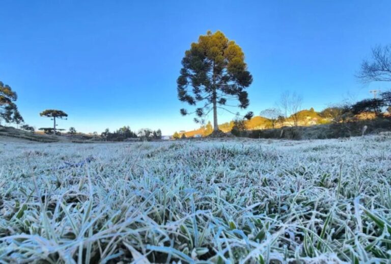Onda de frio chega ao Paraná a partir de sábado com mínimas de 5°C