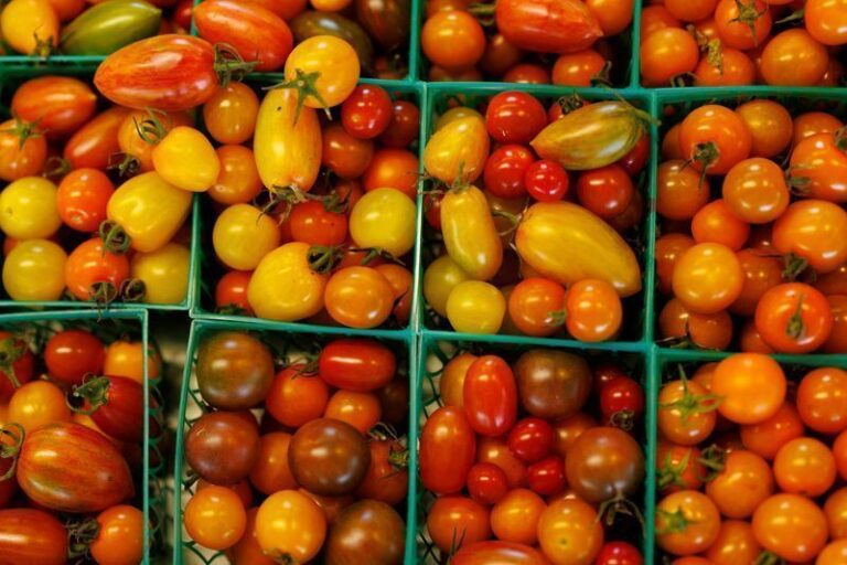 IBGE alerta para inflação de alimentos até fim do ano com El Niño