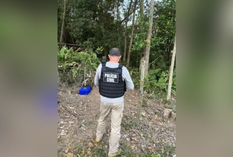 Três irmãos são encontrados mortos e carbonizados em Santa Catarina