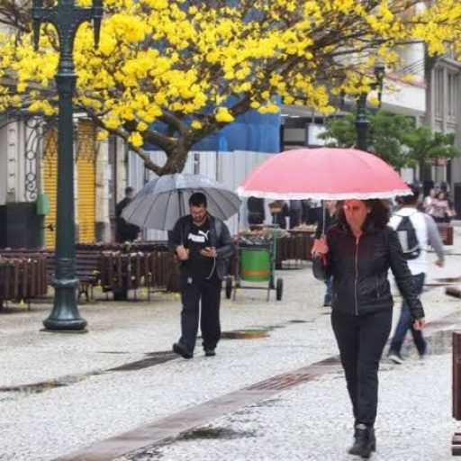Paraná terá transição de estações até a primavera em setembro