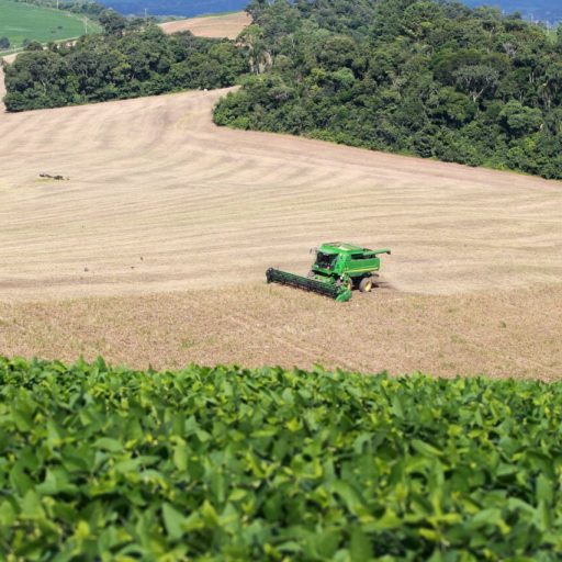 Paraná ocupa 4º lugar na produção agrícola nacional, diz IBGE