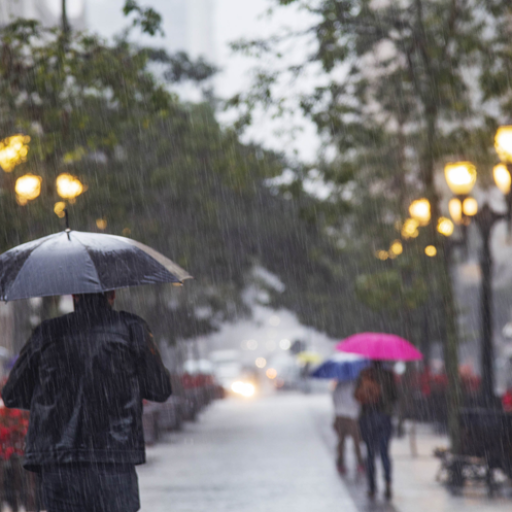 Curitiba sedia reunião virtual da rede C40 sobre prejuízos do El Niño