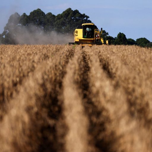 Corte da Selic traz alívio pequeno ao endividado setor do agronegócio, diz consultora