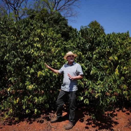 Brasil exporta recorde de 4 milhões de sacas de café em agosto