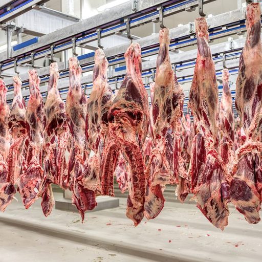 Embargo da UE a produtos animais afeta US$ 18 bi em vendas do Brasil