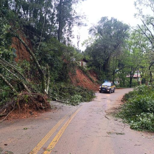Defesa Civil vê ocorrências quase dobrarem com tempestades no Paraná