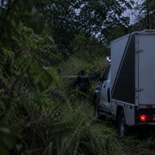 Polícia investiga ligação entre mortes de nove mulheres na África do Sul