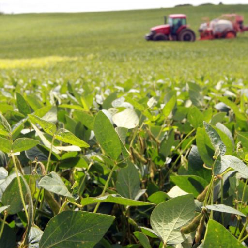 Soja impulsiona faturamento do agronegócio paranaense a US$ 2,94 bi