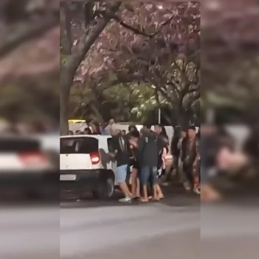Divulgação/@santa_zapzap